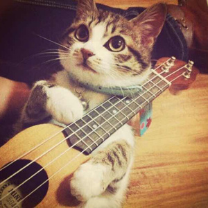 HD中国男女明星性视频大全ub
